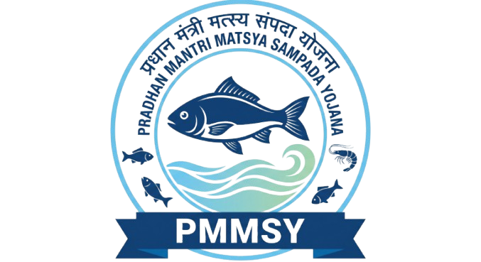 Pmmsy