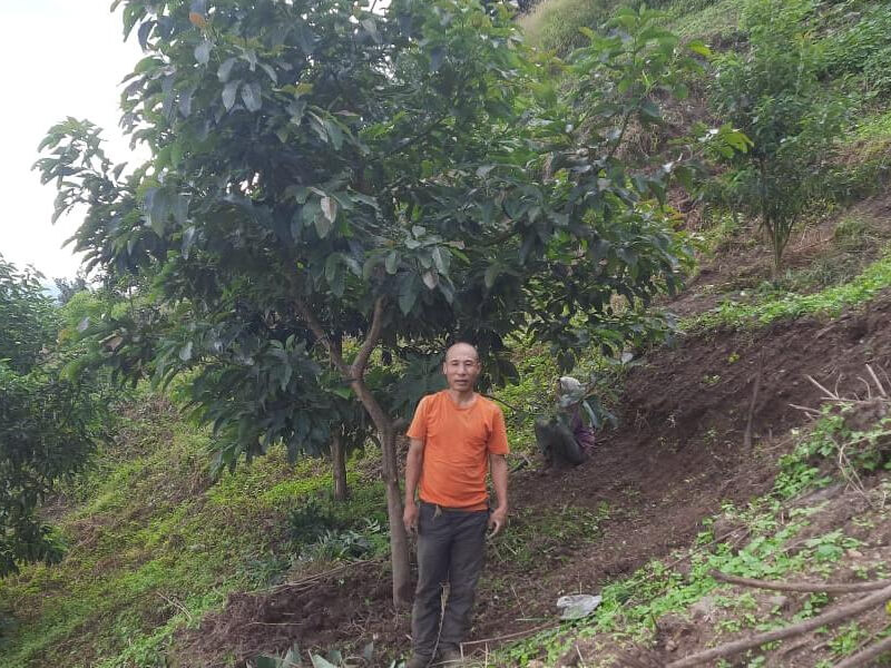 Success Story Image