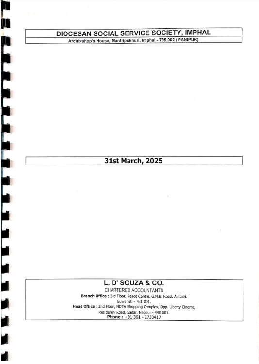 DSSS Audit Report 2024-2025